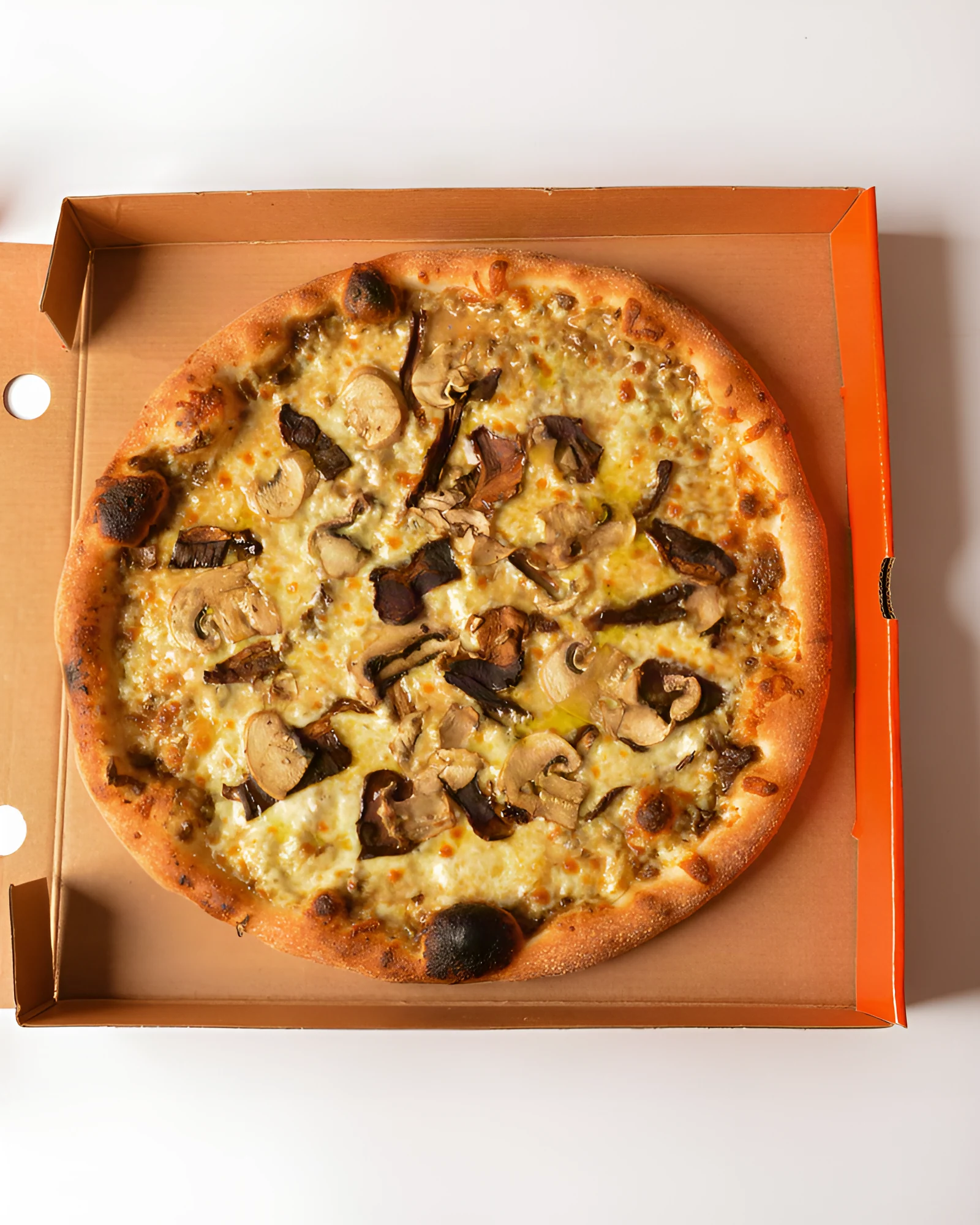 Dough Union All Truffle pizza